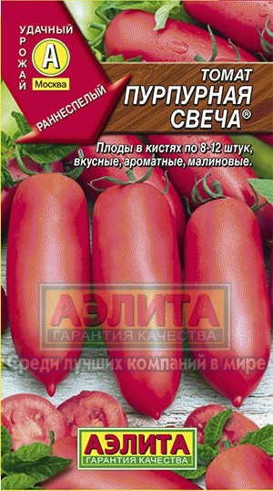 Семена. Томат «Пурпурная свеча», 0.2 г