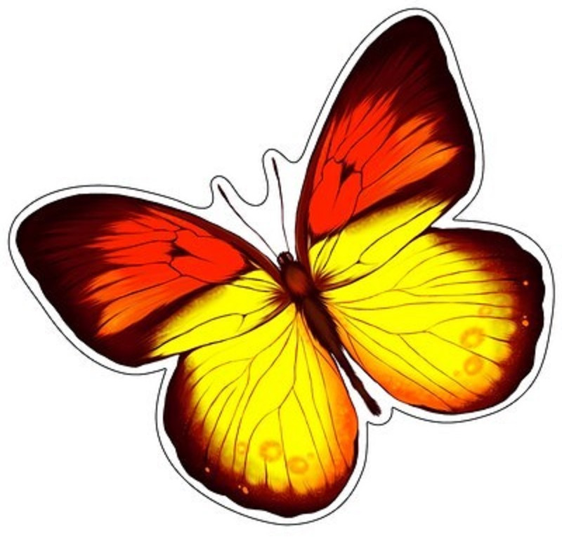 Плакат вырубной «Бабочка» | Плакат вырубной А4
