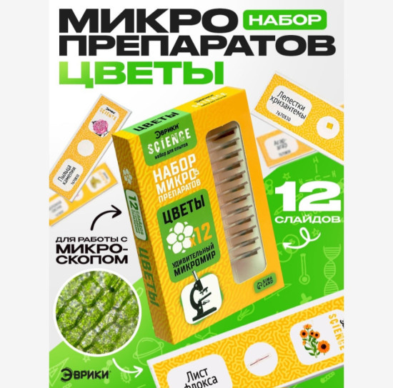 Набор для опытов «Набор микропрепаратов», цветы