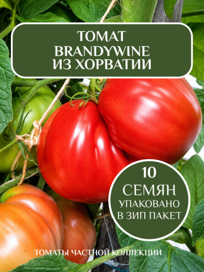 Коллекционные семена томата «Брейндивайн из Хорватии»