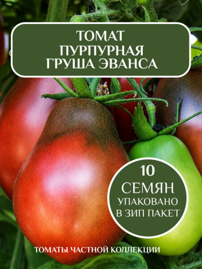 Коллекционные семена томата «Пурпурная груша Эванса»