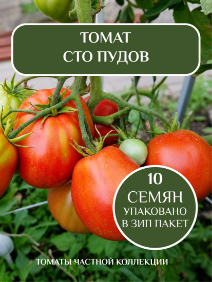 Коллекционные семена томата «Сто пудов»