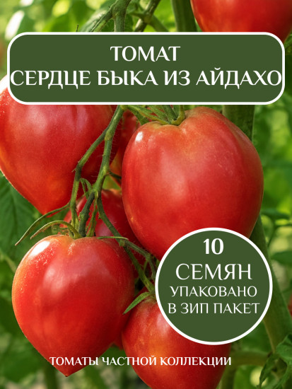 Коллекционные семена томата «Сердце быка из Айдахо»