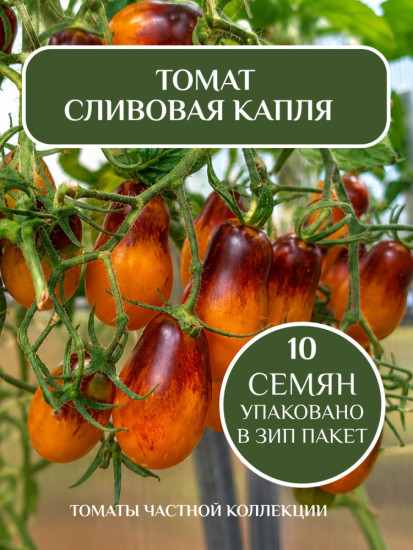 Коллекционные семена томата «Сливовая капля»