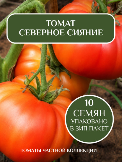 Коллекционные семена томата «Северное сияние»