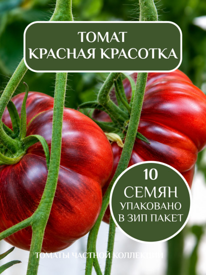 Коллекционные семена томата «Красная красотка»