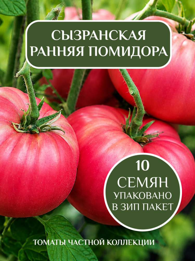 Коллекционные семена томата «Сызранская ранняя помидора» | Mevsim
