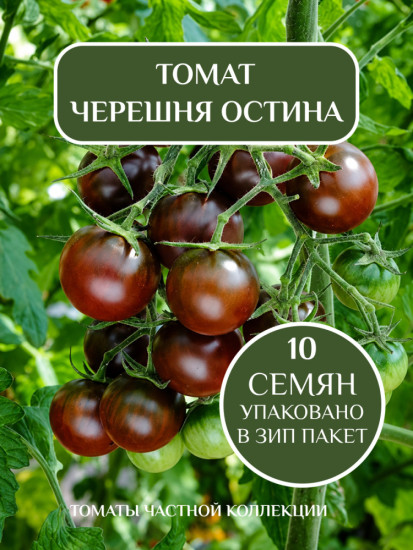 Коллекционные семена томата «Черешня Остина»