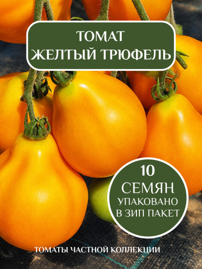 Коллекционные семена томата «Желтый трюфель»