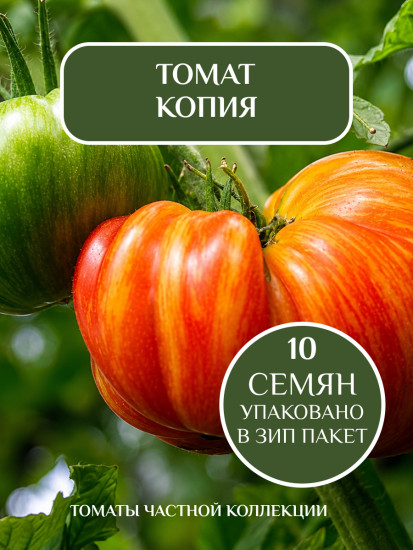 Коллекционные семена томата «Копия»