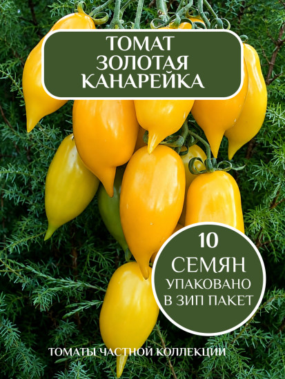 Коллекционные семена томата «Золотая канарейка»