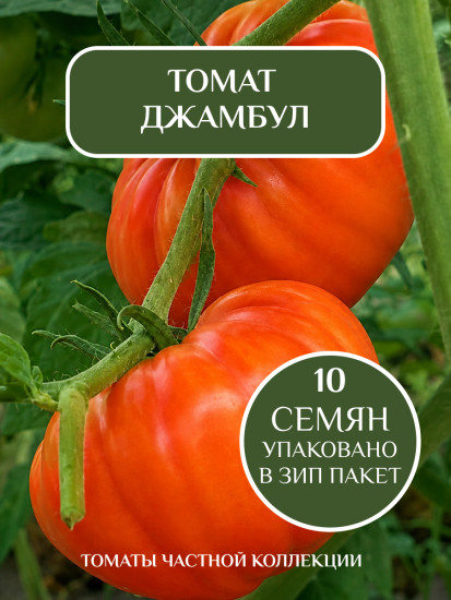 Коллекционные семена томата «Джамбул»