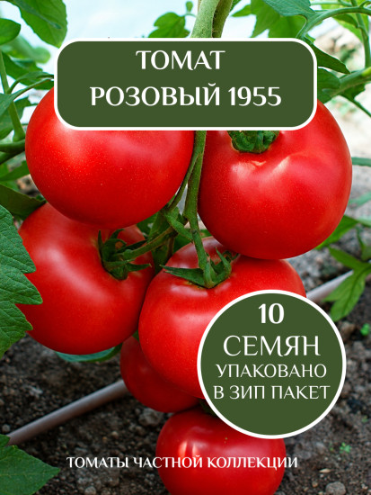 Коллекционные семена томата «Розовый 1955»