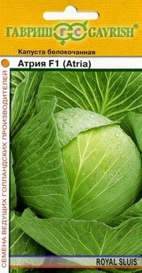 Семена. Капуста белокочанная «Атрия F1», 10 шт | Белокочанная капуста | Гавриш