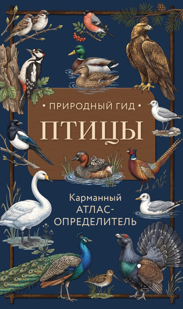 Птицы. Карманный атлас-определитель | Природный гид. Карманные справочники-определители