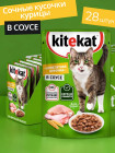 курица курица