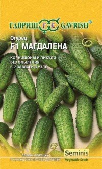 Семена. Огурец «Магдалена F1», 5 шт