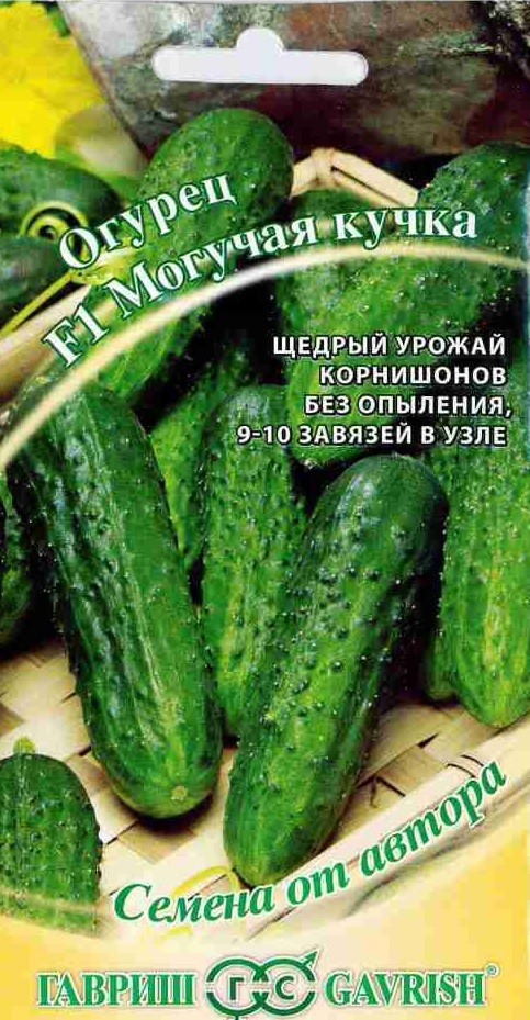 Семена. Огурец «Могучая кучка F1», 10 шт | Семена от автора | Гавриш