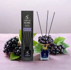 black currant black currant