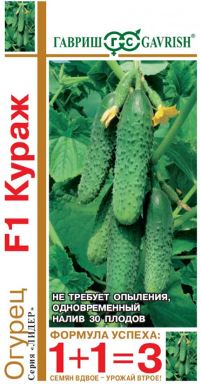 Семена огурца «Кураж F1»
