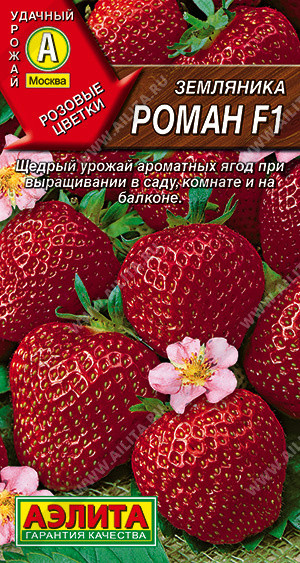 Семена. Земляника ремонтантная крупноплодная «Роман F1» | Аэлита