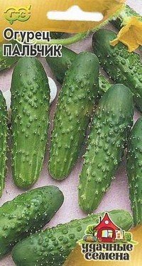 Семена. Огурец «Пальчик» | Удачные семена | Гавриш