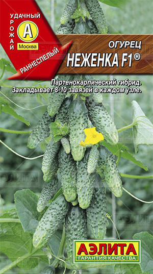 Семена. Огурец «Неженка F1», 0,25 | Удачный урожай | Аэлита