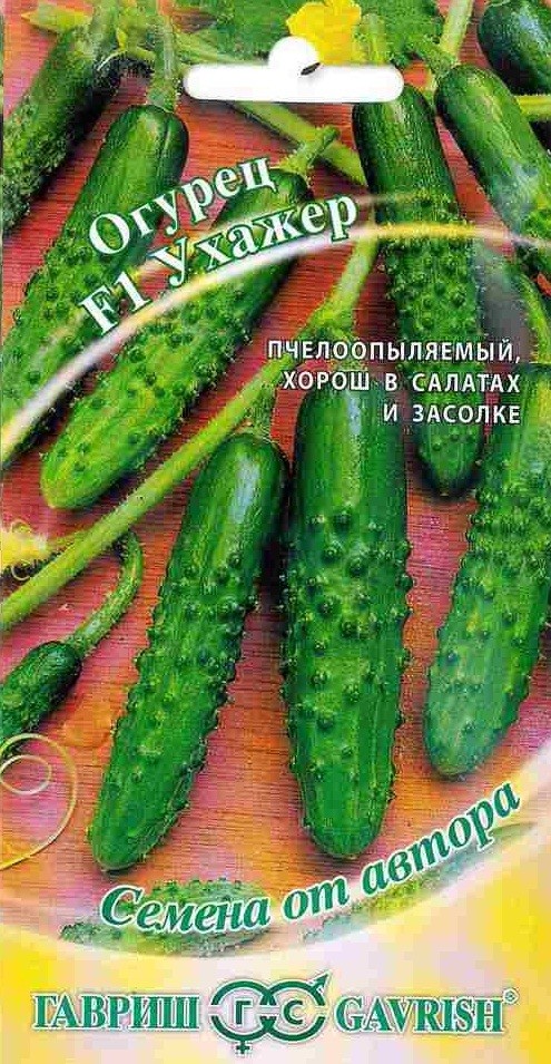 Семена. Огурец «Ухажер F1», 10 шт | Семена от автора | Гавриш