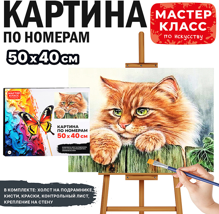 Картина по номерам «Рыжий кот» | Мастер класс