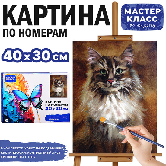 Картина по номерам «Сибираская кошка»