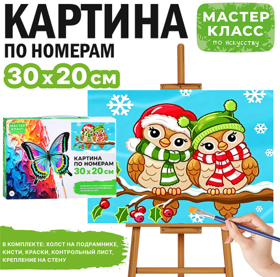 Картина по номерам «Совушки зимой»