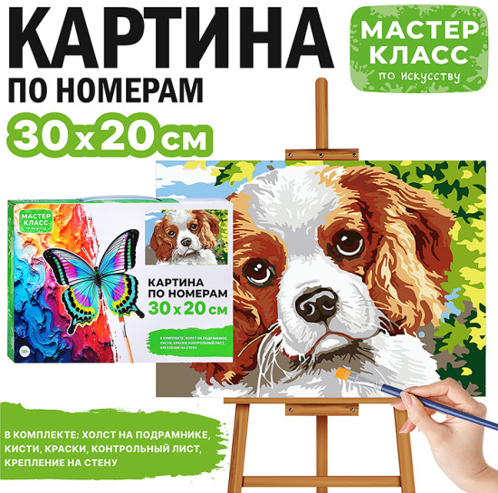 Картина по номерам «Спаниель»