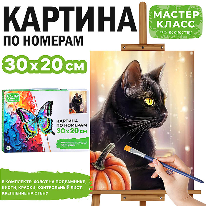 Картина по номерам «Черный кот» | Мастер класс