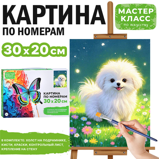 Картина по номерам «Щенок мальтезе»