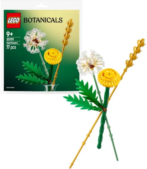LEGO 30701 Botanicals Полевые цветы