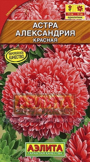 Семена. Астра «Александрия красная», 0,1 г