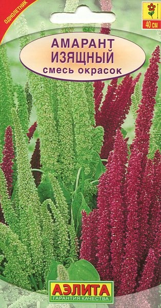 Семена. Амарант «Изящный», смесь, 0,3 г | Однолетние цветы (Аэлита) | Аэлита