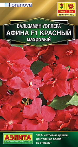 Семена. Бальзамин «Афина F1», красный, махровый, 5 шт | Бальзамин | Аэлита