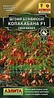 Семена. Бегония боливийская «Копакабана F1», 5 шт