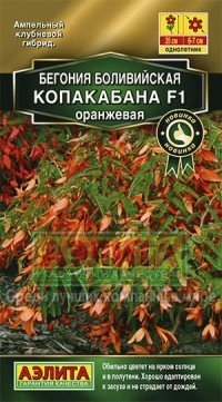 Семена. Бегония боливийская «Копакабана F1», 5 шт