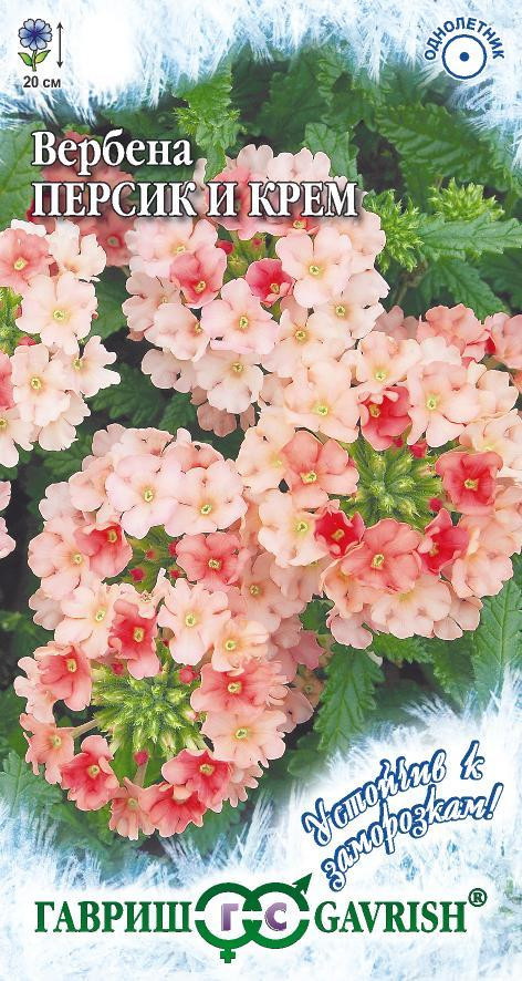 Семена. Вербена «Персик и Крем», 0,05 г | Вербены | Гавриш