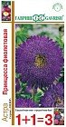 Семена. Астра «Принцесса фиолетовая»