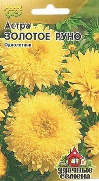 Семена. Астра «Золотое руно»