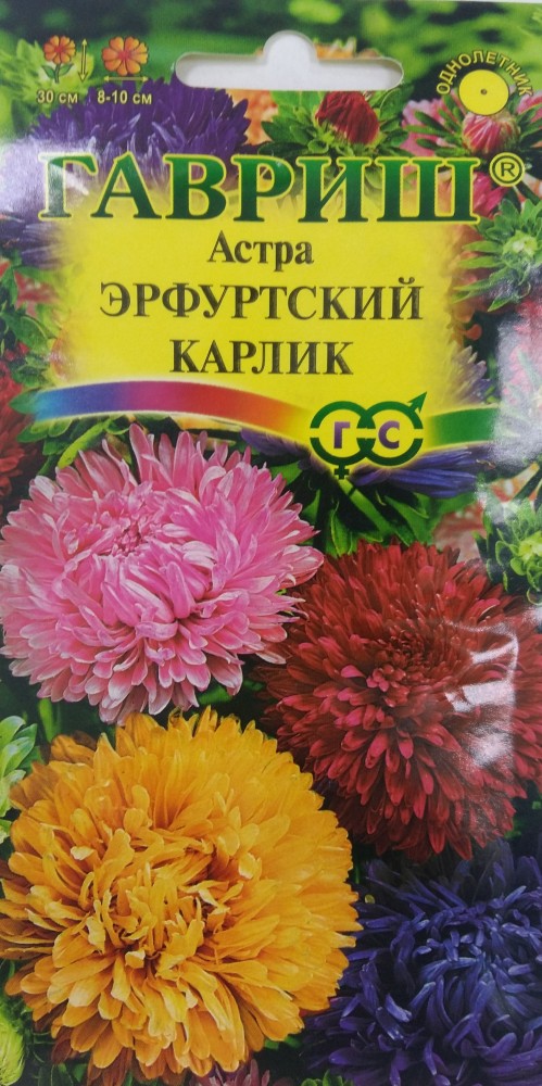 Семена. Астра «Эрфуртский карлик» (смесь), 0,3 г | Астры | Гавриш