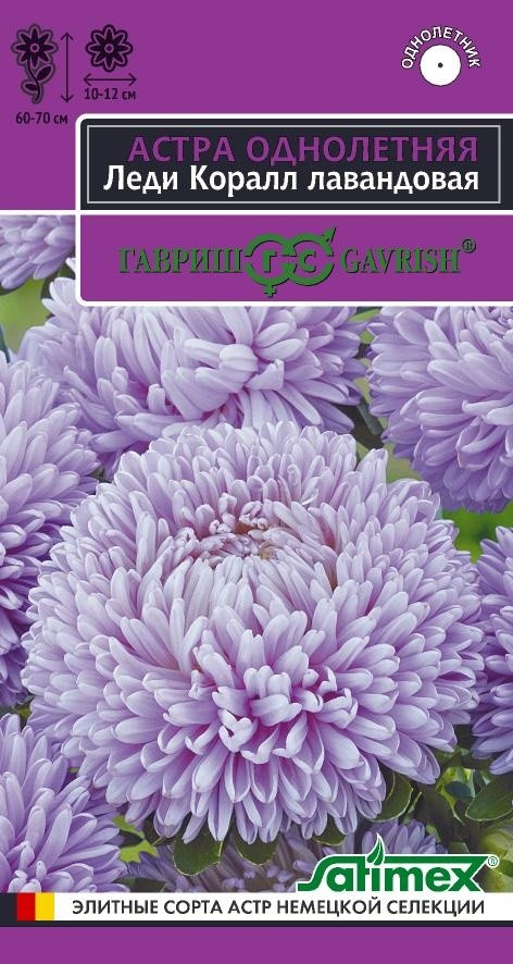 Семена астры «Леди Корал лавандовая» | Элитные сорта астр немецкой селекции | Гавриш