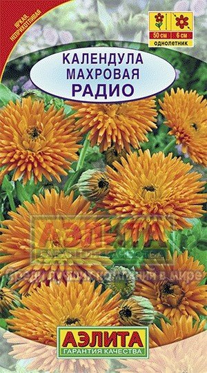 Семена. Календула «Радио», махровая, 0,5 г | Однолетние цветы (Аэлита) | Аэлита