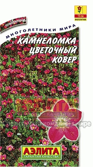Семена. Камнеломка «Цветочный ковер», 0,03 г | Многолетники мира | Аэлита