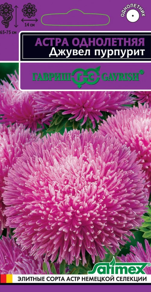 Семена астры «Джувел Пурпурит» | Элитные сорта астр немецкой селекции | Гавриш