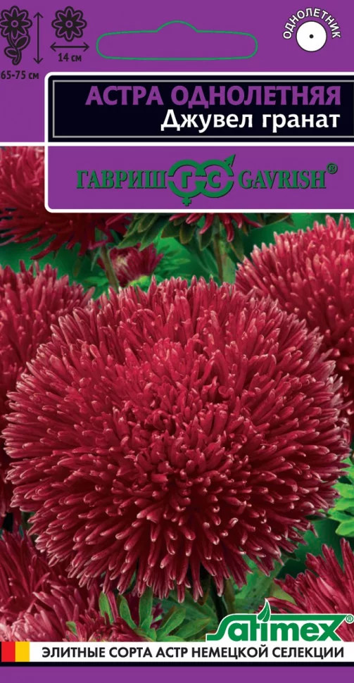 Семена астры «Джувел Гранат» | Элитные сорта астр немецкой селекции | Гавриш