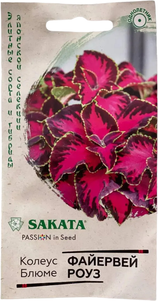 Семена. Колеус «Файервей Роуз», 5 шт | Однолетние цветы (Гавриш) | Гавриш